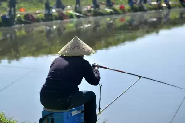 图片[3]-谷麦钓法选钓位(谷麦钓法选钓位有哪些要点和技巧呢)-会东网