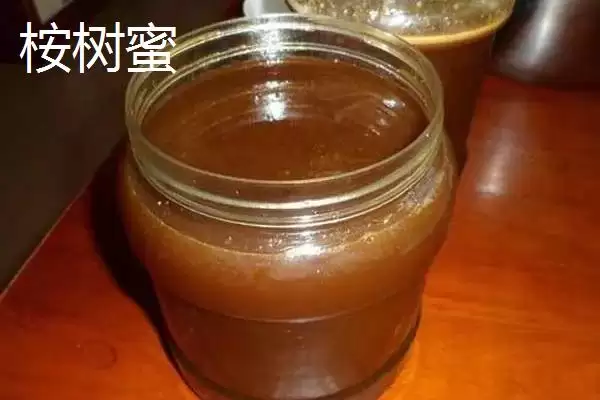 图片[4]-桉树蜜特性(桉树蜜是蜂蜜的一种其特性和口感风味有哪些特点)-会东网
