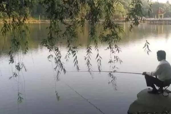 图片[7]-初夏钓鱼适宜时间(初夏钓鱼在什么时间合适呢)-会东网