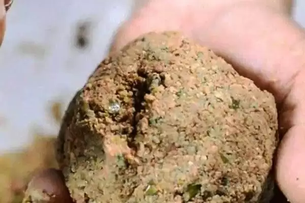 图片[3]-纯香型鱼饵1#鲫饵料介绍(纯香型鱼饵1#鲫饵料在成分、适用场景上如何介绍)-会东网