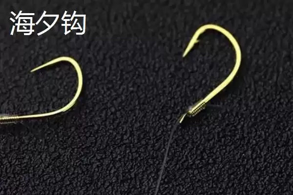 图片[5]-钓鲤鱼用什么鱼钩(钓鲤鱼选哪种鱼钩更合适)-会东网