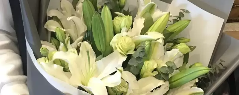11朵百合寓意(11朵百合寓意爱情美好背后有着怎样的文化和象征意义)-会东网