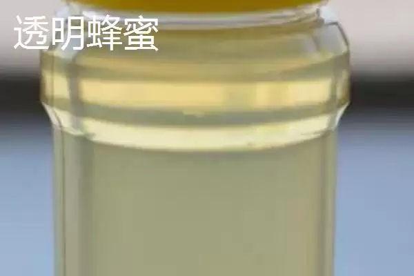 图片[3]-白色和透明蜂蜜特点(白色和透明蜂蜜在色泽、口感等方面有何特点)-会东网
