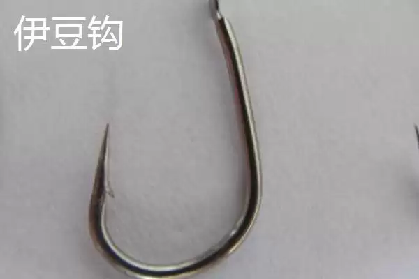 图片[3]-钓鲤鱼用什么鱼钩(钓鲤鱼选哪种鱼钩更合适)-会东网