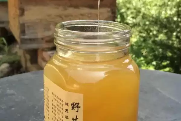图片[5]-200元一斤真品土蜂蜜价格(200元一斤真品土蜂蜜不便宜的价值判断依据是什么)-会东网