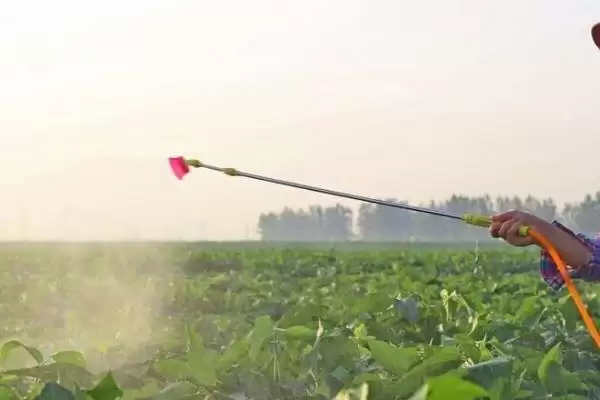 图片[3]-除草剂3打3不打指的是什么(除草剂3打3不打具体含义是什么呢)-会东网
