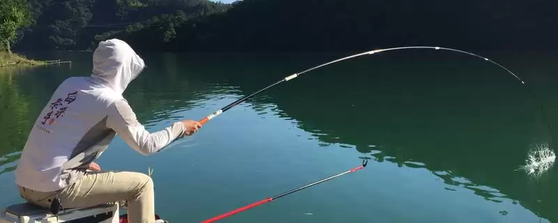 白天钓鲶鱼钓深水的原因(白天钓鲶鱼选择深水区域的具体原因是什么呢)-会东网