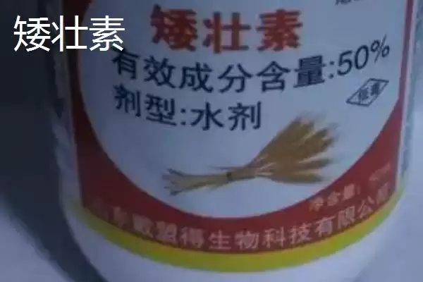 图片[6]-矮壮素和多效唑区别大揭秘，应用范围和施用方法不同之处-会东网