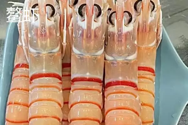 图片[2]-鳌虾与牡丹虾区别(鳌虾与牡丹虾头部等区别及其在食用和养殖上的特点)-会东网