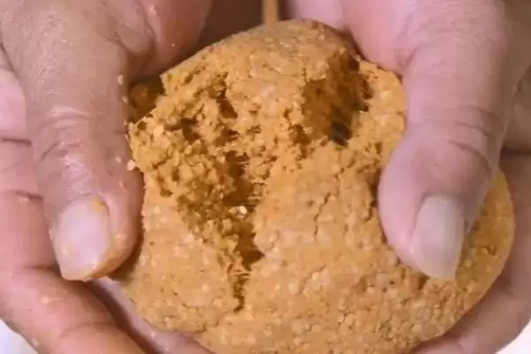 图片[3]-钓白条技巧(有哪些钓白条的实用技巧方法)-会东网