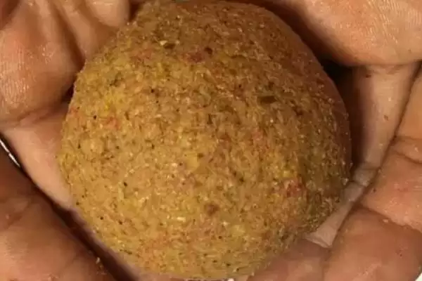图片[12]-初夏怎么钓鱼(初夏钓鱼有哪些有效的方法呢)-会东网