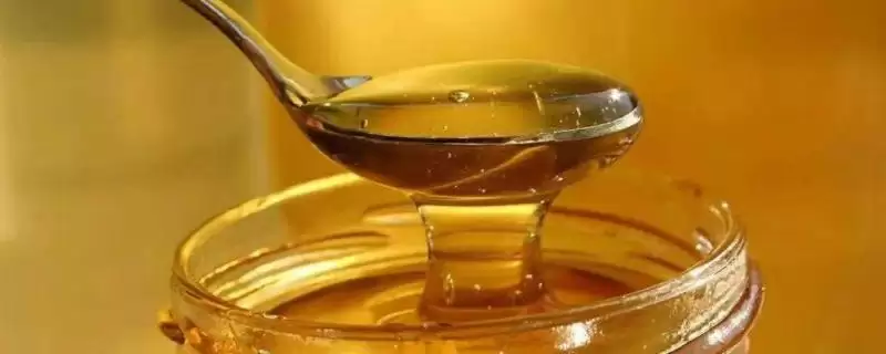 桉树蜜特性(桉树蜜是蜂蜜的一种其特性和口感风味有哪些特点)-会东网