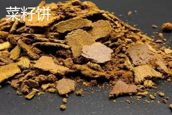 图片[6]-钓土鲮鱼打窝饵料(钓土鲮鱼用啥打窝饵料好)-会东网