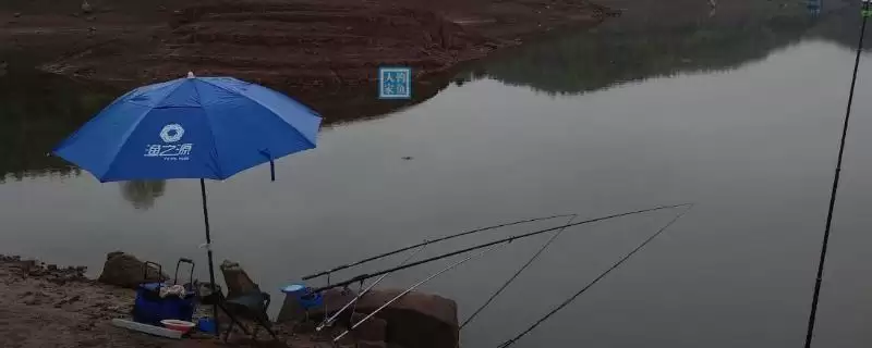 八工竿独特之处(六款高性价比八工竿独特之处及其在垂钓中的优势)-会东网