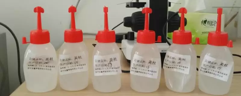 30度环境猪精存活时间(30度环境下猪精存活24-48小时的原理及影响因素)-会东网