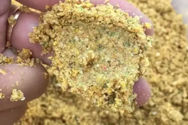图片[9]-草鱼的钓法(垂钓草鱼有哪些实用的方法呢)-会东网