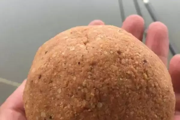 图片[3]-垂钓罗非鱼适合用什么饵(垂钓罗非鱼用什么饵料合适呢)-会东网