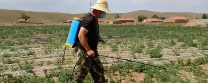 除草剂3打3不打指的是什么(除草剂3打3不打具体含义是什么呢)-会东网