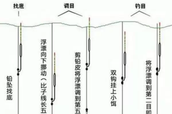 图片[3]-挂玉米粒钓鱼(挂玉米粒钓鱼有啥技巧和注意事项呢)-会东网