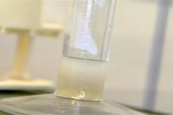 图片[4]-30度环境猪精存活时间(30度环境下猪精存活24-48小时的原理及影响因素)-会东网