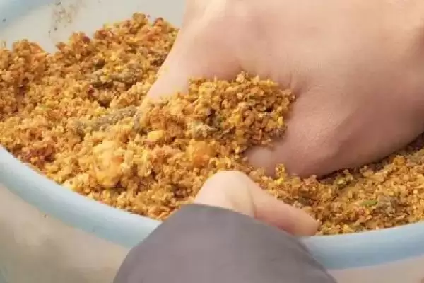 图片[5]-钓鲢鱼技巧(钓鲢鱼有什么技巧和方法呢)-会东网