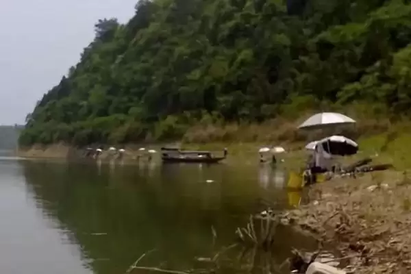 图片[5]-初夏钓鱼适宜时间(初夏钓鱼在什么时间合适呢)-会东网
