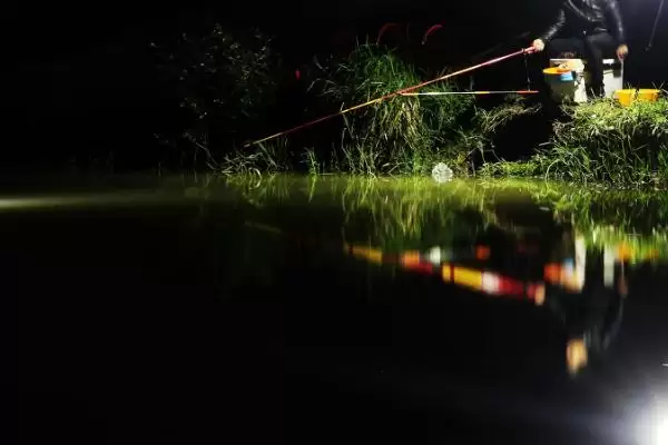 图片[3]-草鱼能否夜钓(草鱼在夜间是否适合垂钓呢)-会东网