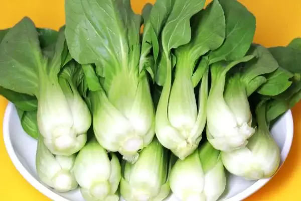 图片[5]-白露前后种菠菜等蔬菜，种植要点有哪些-会东网