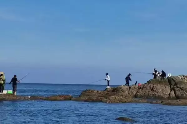 图片[5]-1.2号主线搭配1.0号子线是否合理(1.2号主线搭配1.0号子线的合理性分析)-会东网
