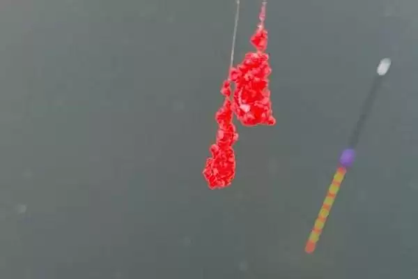 图片[3]-抛10克以下鱼饵手感最好的L路亚竿特点(抛10克下鱼饵手感好的L路亚竿有何特点)-会东网