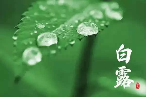 图片[8]-白露各地有趣的传统习俗 (白露时节各地都有哪些有趣的风俗习惯)-会东网