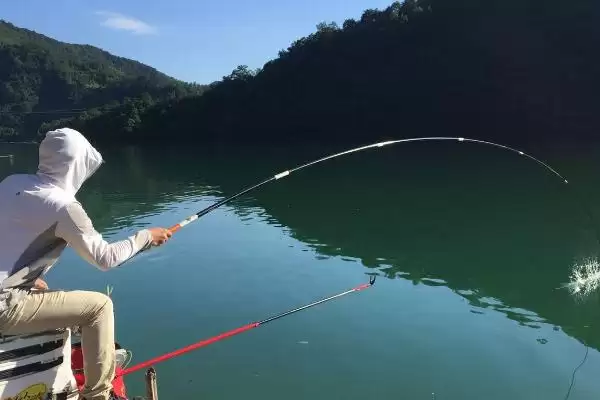 图片[4]-钓鲤鱼不开口原因(钓鲤鱼时鱼不开口是为啥)-会东网