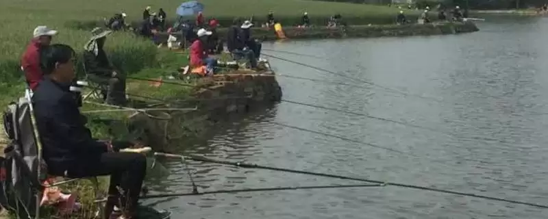3月份刮什么风容易钓鱼(3月份刮不同风向的风对钓鱼有什么影响呢)-会东网