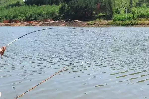 图片[2]-春季水库钓鱼怎么挑选钓位(春季水库钓鱼选钓位有啥方法呢)-会东网