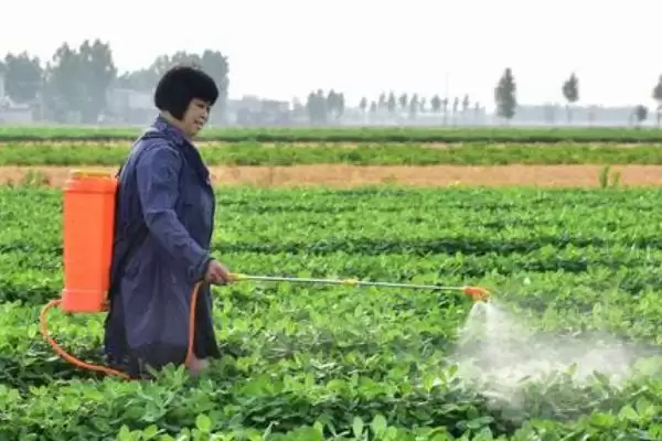 图片[4]-阿维菌素防治对象大揭秘(阿维菌素防治对象及害虫灭杀详情)-会东网