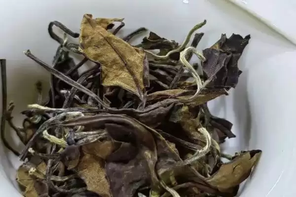 图片[4]-白茶产地特色(白茶不同产地特色及其在茶叶品质和风味上的差异)-会东网