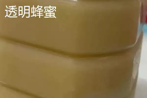 图片[2]-白色和透明蜂蜜特点(白色和透明蜂蜜在色泽、口感等方面有何特点)-会东网
