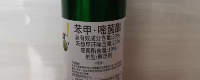 苯甲嘧菌酯治什么病(苯甲嘧菌酯能防治哪些病害呢)-会东网