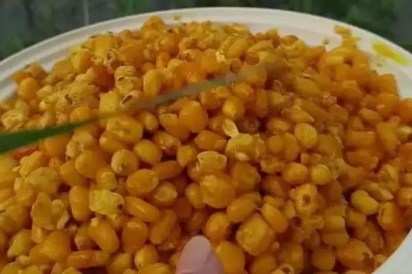 图片[3]-钓大鱼适合饵料(钓大鱼用什么饵料比较好)-会东网