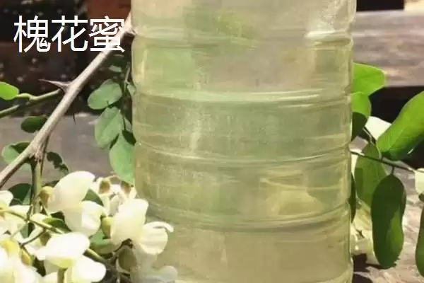 图片[4]-桉树蜜颜色原因(桉树蜜多呈琥珀色的原因和其成分与色泽关系)-会东网