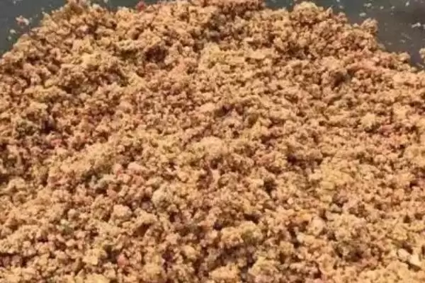 图片[8]-草鱼的钓法(垂钓草鱼有哪些实用的方法呢)-会东网
