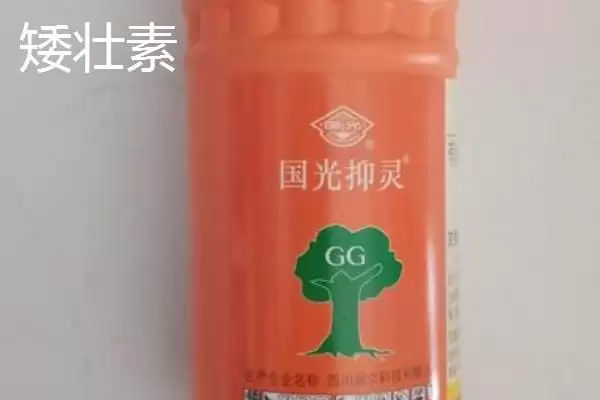 图片[2]-矮壮素与多效唑区别揭秘，矮壮素溶于水多效唑基本不溶原因-会东网