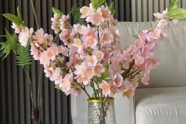 图片[6]-白色花放家里现代观点(从现代视角看白色花放家里有着怎样的看法和寓意)-会东网