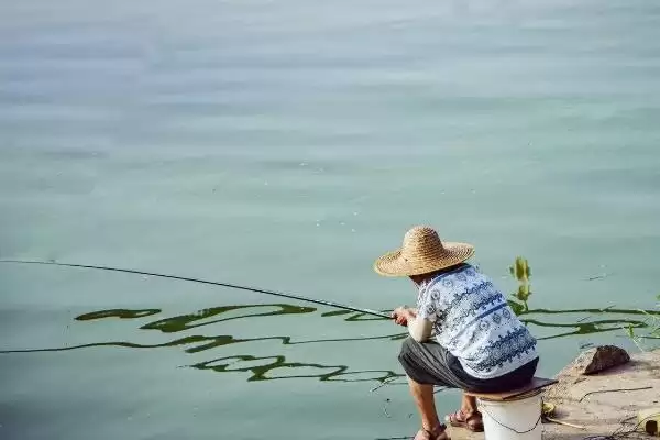 图片[8]-1.5线组钓3-6斤重鱼攻略(1.5线组钓3-6斤重鱼有哪些全面实用的攻略)-会东网
