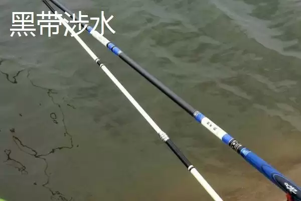 图片[5]-400元以内鱼竿推荐(400元以内性价比高且适合不同钓法的鱼竿有哪些推荐)-会东网
