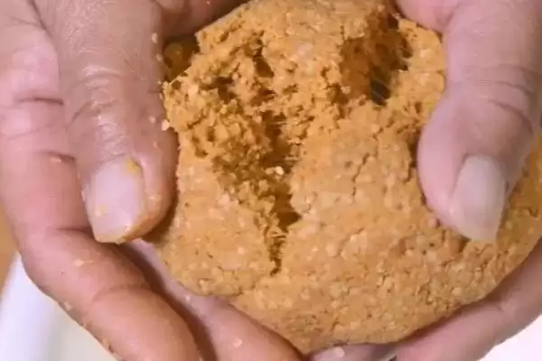 图片[2]-草鱼喜欢吃什么饵料(草鱼偏好的饵料种类有哪些呢)-会东网