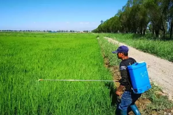 图片[2]-阿维菌素防治对象大揭秘(阿维菌素防治对象及害虫灭杀详情)-会东网