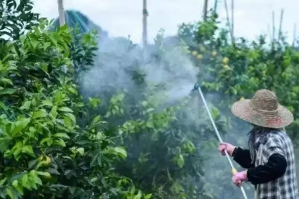 图片[3]-阿维菌素作用深度剖析(阿维菌素作用原理及害虫灭杀原理)-会东网