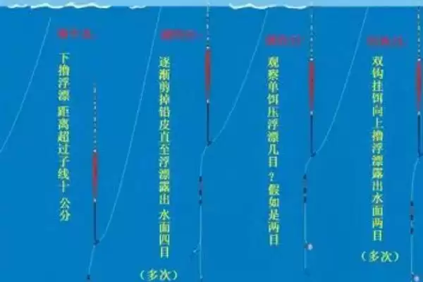 图片[2]-钓鳊鱼调漂方法(钓鳊鱼该怎么进行调漂呢)-会东网