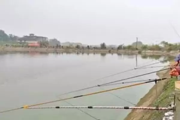 图片[2]-0.8子线不建议钓超3斤鱼要点(0.8子线不建议钓超3斤鱼的关键要点有哪些)-会东网